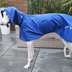 Nieuwe regenjas in onze collectie!