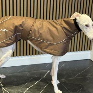 Nieuwe kleuren winterjassen!